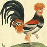 song icon